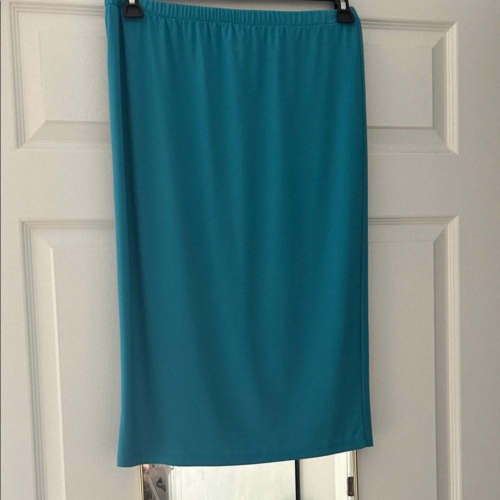 Zadie Bs Elegant Teal Skirt